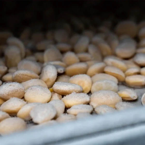 FREEZE DRIED_0002_DSC00542