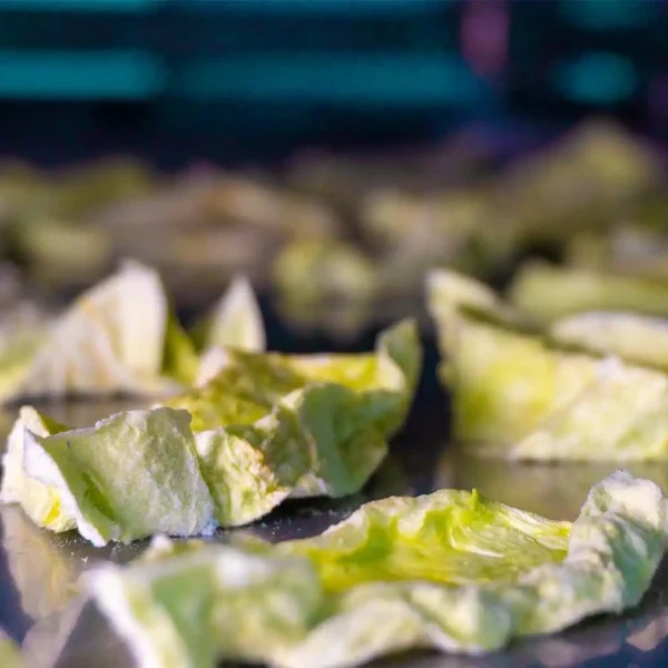 FREEZE DRIED_0004_DSC00576