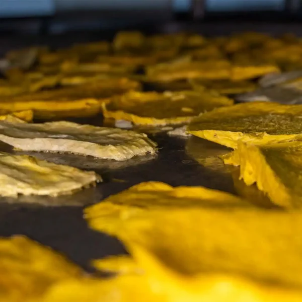 FREEZE DRIED_0005_DSC00573