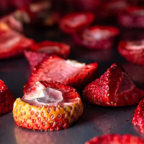 FREEZE DRIED_0006_DSC00578